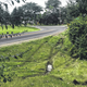 Illustration for article titled I ran off the road and nearly into my neighbors tree